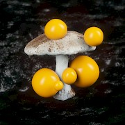 Natural Synthetic 01