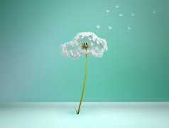 BNP Paribas // Dandelion Car