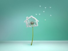 BNP Paribas // Dandelion House